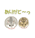 毎日ハムちゃんズ（個別スタンプ：33）