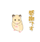 毎日ハムちゃんズ（個別スタンプ：34）