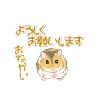 毎日ハムちゃんズ（個別スタンプ：35）