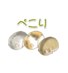 毎日ハムちゃんズ（個別スタンプ：36）