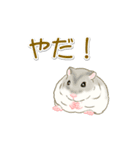 毎日ハムちゃんズ（個別スタンプ：38）