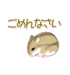 毎日ハムちゃんズ（個別スタンプ：40）