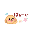 かわいいトイプードル❤️省スペース（個別スタンプ：1）