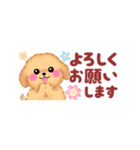 かわいいトイプードル❤️省スペース（個別スタンプ：7）
