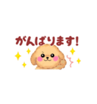 かわいいトイプードル❤️省スペース（個別スタンプ：16）
