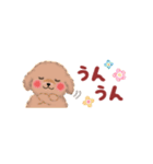 かわいいトイプードル❤️省スペース（個別スタンプ：20）