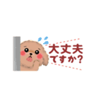 かわいいトイプードル❤️省スペース（個別スタンプ：22）