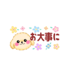 かわいいトイプードル❤️省スペース（個別スタンプ：23）