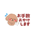 かわいいトイプードル❤️省スペース（個別スタンプ：27）
