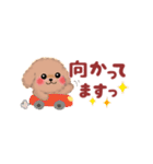 かわいいトイプードル❤️省スペース（個別スタンプ：30）