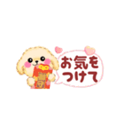 かわいいトイプードル❤️省スペース（個別スタンプ：31）