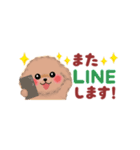 かわいいトイプードル❤️省スペース（個別スタンプ：38）