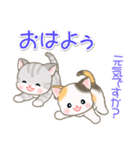 よちよちベビーにゃんこの毎日（個別スタンプ：1）