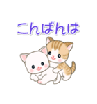 よちよちベビーにゃんこの毎日（個別スタンプ：4）