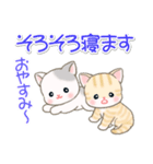 よちよちベビーにゃんこの毎日（個別スタンプ：5）
