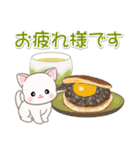 よちよちベビーにゃんこの毎日（個別スタンプ：13）
