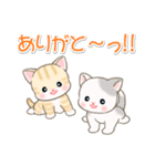 よちよちベビーにゃんこの毎日（個別スタンプ：18）