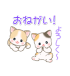 よちよちベビーにゃんこの毎日（個別スタンプ：20）
