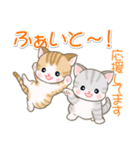 よちよちベビーにゃんこの毎日（個別スタンプ：25）