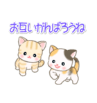 よちよちベビーにゃんこの毎日（個別スタンプ：26）