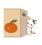 よちよちベビーにゃんこの毎日（個別スタンプ：29）