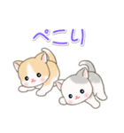よちよちベビーにゃんこの毎日（個別スタンプ：30）
