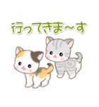 よちよちベビーにゃんこの毎日（個別スタンプ：38）