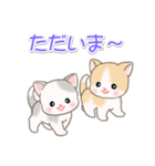 よちよちベビーにゃんこの毎日（個別スタンプ：39）