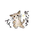 猫の懐かしワードスタンプ ありがとう多め（個別スタンプ：4）