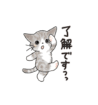 猫の懐かしワードスタンプ ありがとう多め（個別スタンプ：13）
