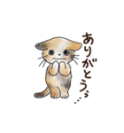 猫の懐かしワードスタンプ ありがとう多め（個別スタンプ：22）