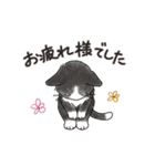 猫の懐かしワードスタンプ ありがとう多め（個別スタンプ：27）