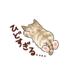 猫の懐かしワードスタンプ ありがとう多め（個別スタンプ：30）