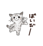 猫の懐かしワードスタンプ ありがとう多め（個別スタンプ：39）