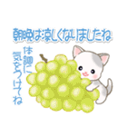ベビーにゃんこの秋（個別スタンプ：6）