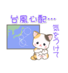 ベビーにゃんこの秋（個別スタンプ：24）