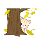 ベビーにゃんこの秋（個別スタンプ：25）