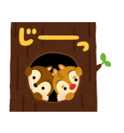 チップとデール byみふねたかし（個別スタンプ：37）
