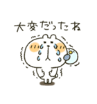 くまぴ★励まし応援（個別スタンプ：25）