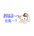 ベビーにゃんこ 省スペース♪可愛い毎日（個別スタンプ：1）