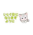 ベビーにゃんこ 省スペース♪可愛い毎日（個別スタンプ：3）