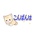 ベビーにゃんこ 省スペース♪可愛い毎日（個別スタンプ：6）