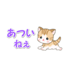ベビーにゃんこ 省スペース♪可愛い毎日（個別スタンプ：7）
