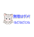 ベビーにゃんこ 省スペース♪可愛い毎日（個別スタンプ：16）
