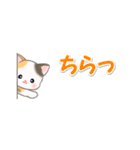 ベビーにゃんこ 省スペース♪可愛い毎日（個別スタンプ：33）