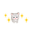 ベビーにゃんこ 省スペース♪可愛い毎日（個別スタンプ：36）