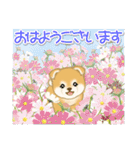 赤ちゃん豆柴の秋（個別スタンプ：1）