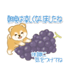 赤ちゃん豆柴の秋（個別スタンプ：6）