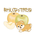 赤ちゃん豆柴の秋（個別スタンプ：7）