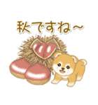 赤ちゃん豆柴の秋（個別スタンプ：8）